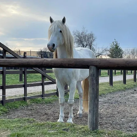 La Casa Di Celeste Bed and Breakfast 4*