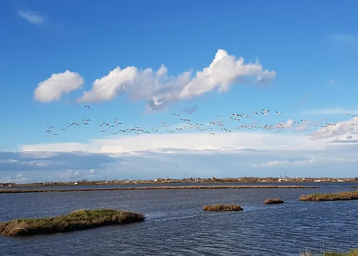 Bed and Breakfast La Casa Di Celeste