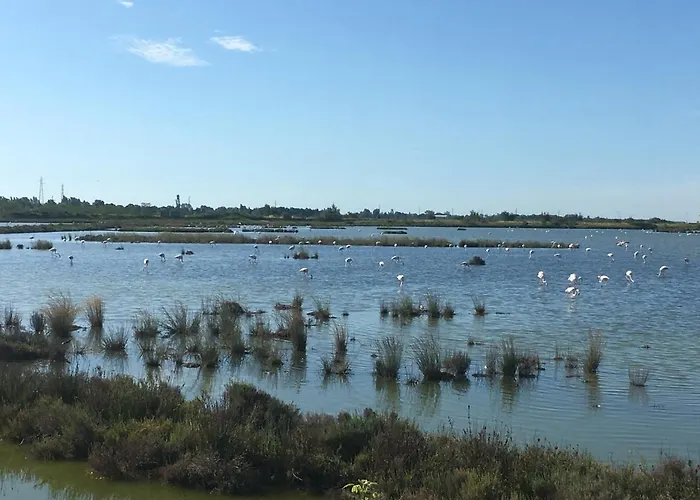 La Casa Di Celeste Bed and Breakfast