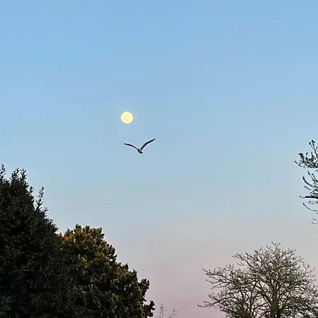 ベッド・アンド・ブレックファスト La Casa Di Celeste