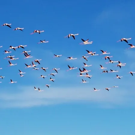 La Casa Di Celeste 4*