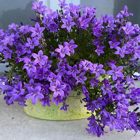 Nocleg ze śniadaniem La Casa Di Celeste