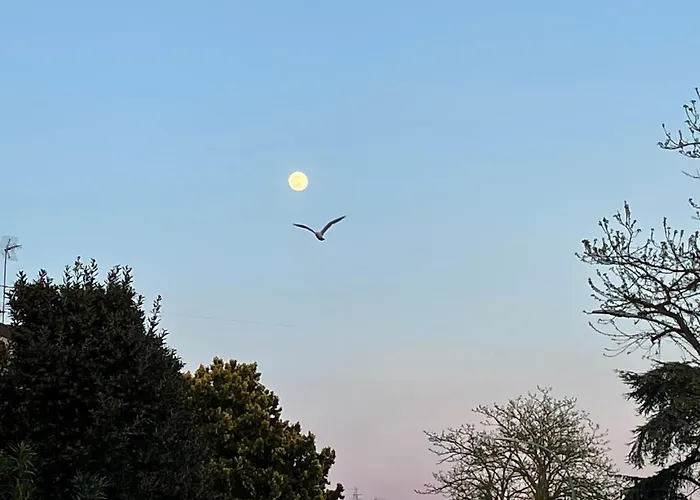 Alojamento de Acomodação e Pequeno-almoço La Casa Di Celeste