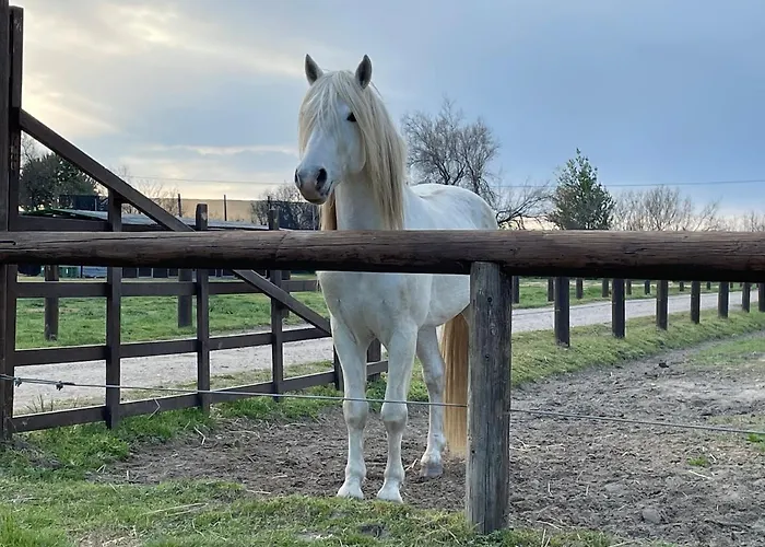 La Casa Di Celeste Alojamento de Acomodação e Pequeno-almoço 4*