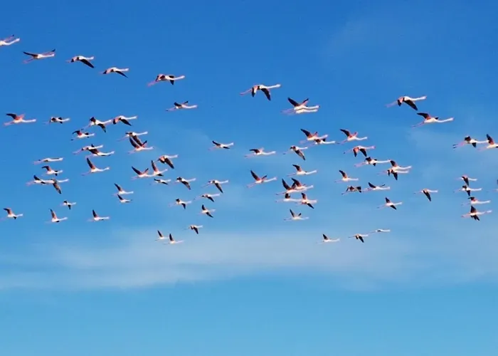 La Casa Di Celeste 4*