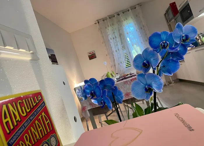 La Casa Di Celeste 코마키오